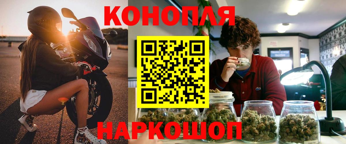 Конопля сатива  Бошки Шишки индика  Канабис планчик  Вход с VPN  Каннабис марихуана  Кольчугино 